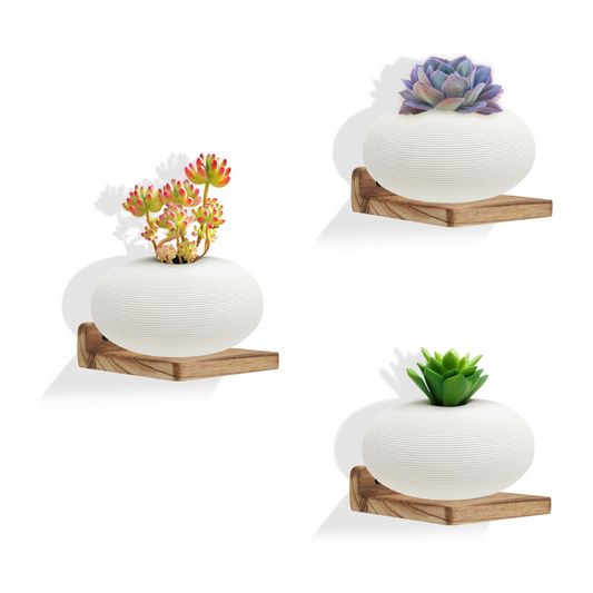 Carpentray Wooden Mini Wall Shelf Set of 3 (Light Brown)