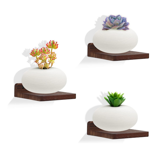 Carpentray Wooden Mini Wall Shelf Set of 3 (Brown)