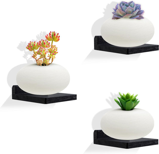 Carpentray Wooden Mini Wall Shelf Set of 3 (Black)
