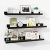 Carpentray 24 Inch Woden Wall Shelf Set of 3 (Black)Carpentray Home