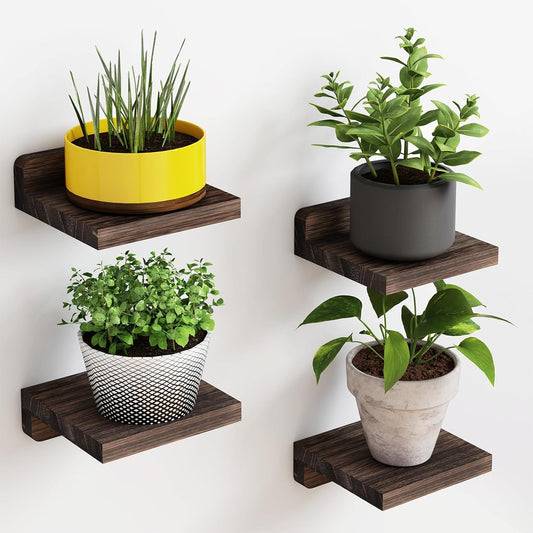 Carpentray Wooden 5x5 Inch Small Set Of 4 Wall Shelf