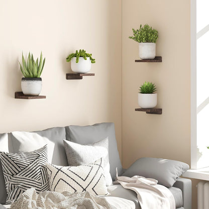 carpentray wooden 5x5 inch small set of 4 wall shelf