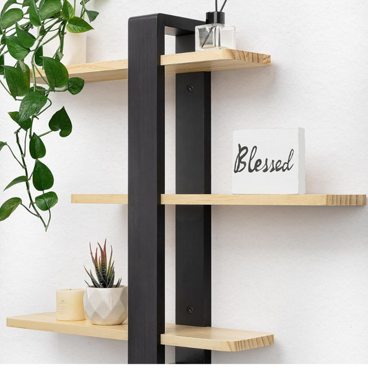 Carpentray Floating Shelves Black for Wall Mounted Shelving