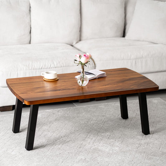 Carpentray Wooden Coffee Table Hunny+Black